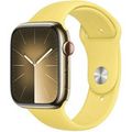 Apple Sport Band for Apple Watch 42|44|45|49mm Ginger (Жёлтый) MGQQ3ZM/A
