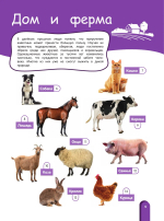 Удивительный мир животных. Энциклопедия для детей