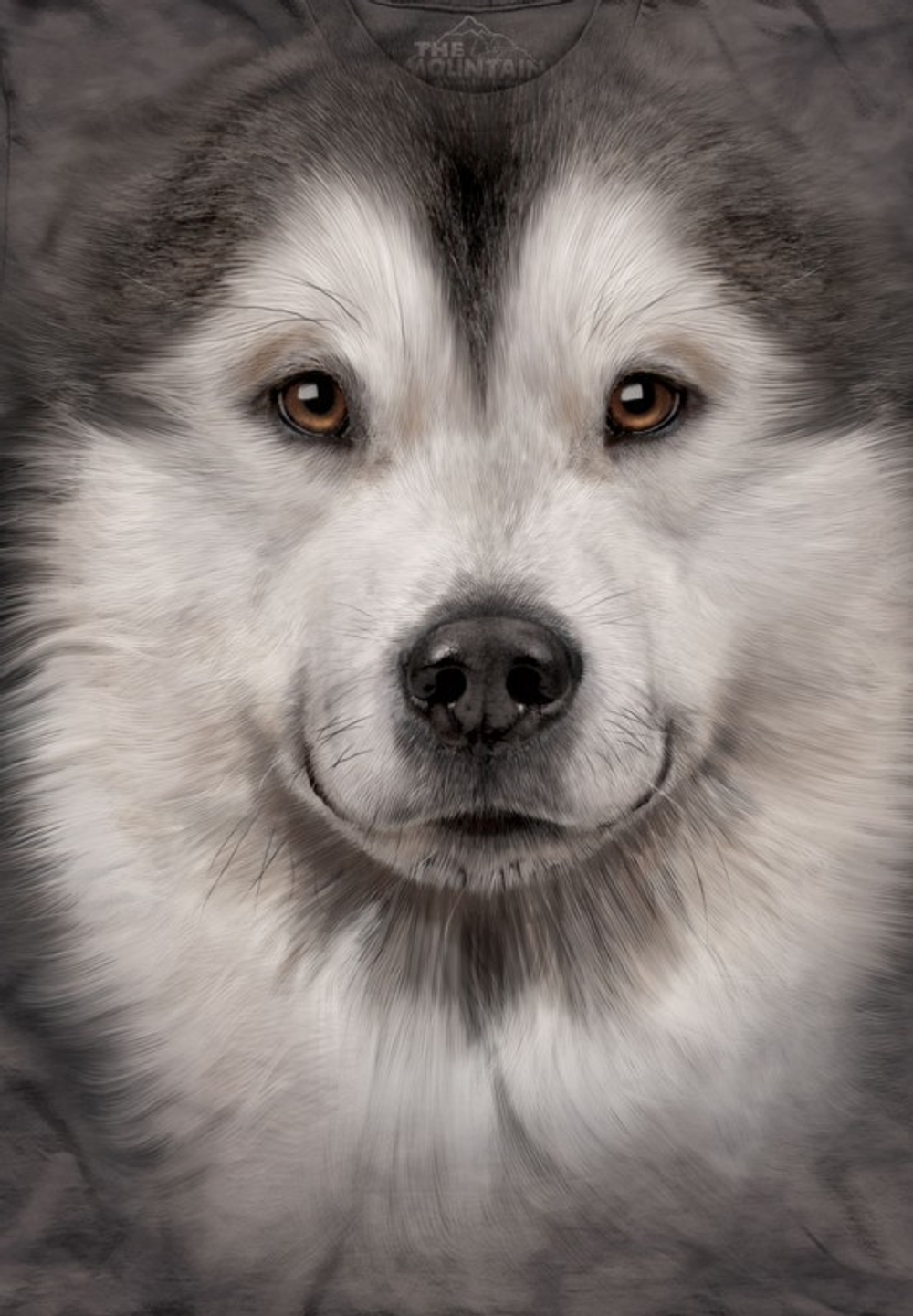 Alaskan Malamute Face