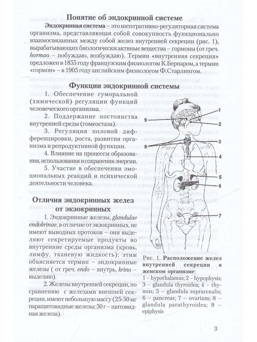 Функциональная анатомия эндокринной системы. Учебное пособие. 3-е изд.