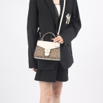 Сумка COACH Pepper 22, C1325-IMOTV