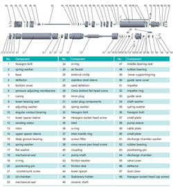 Погружной скважинный насос серии 6SE-T(K2) , Shimge