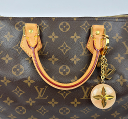 Сумка Louis Vuitton Speedy 30