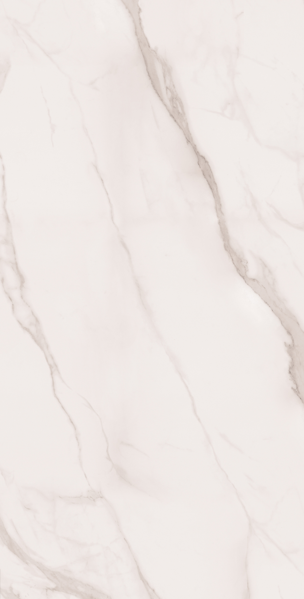 Керамогранит, Arcadia Ceramica, STATUARIO SILK, 1200x600 мм, сатиновая