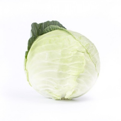 Топма F1 семена капусты белокочанной (Rijk Zwaan / Райк Цваан)