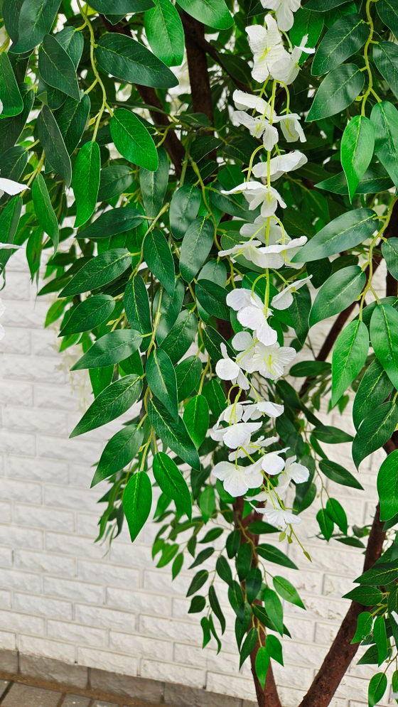 Искусственная Акация белая 240см в техническом кашпо