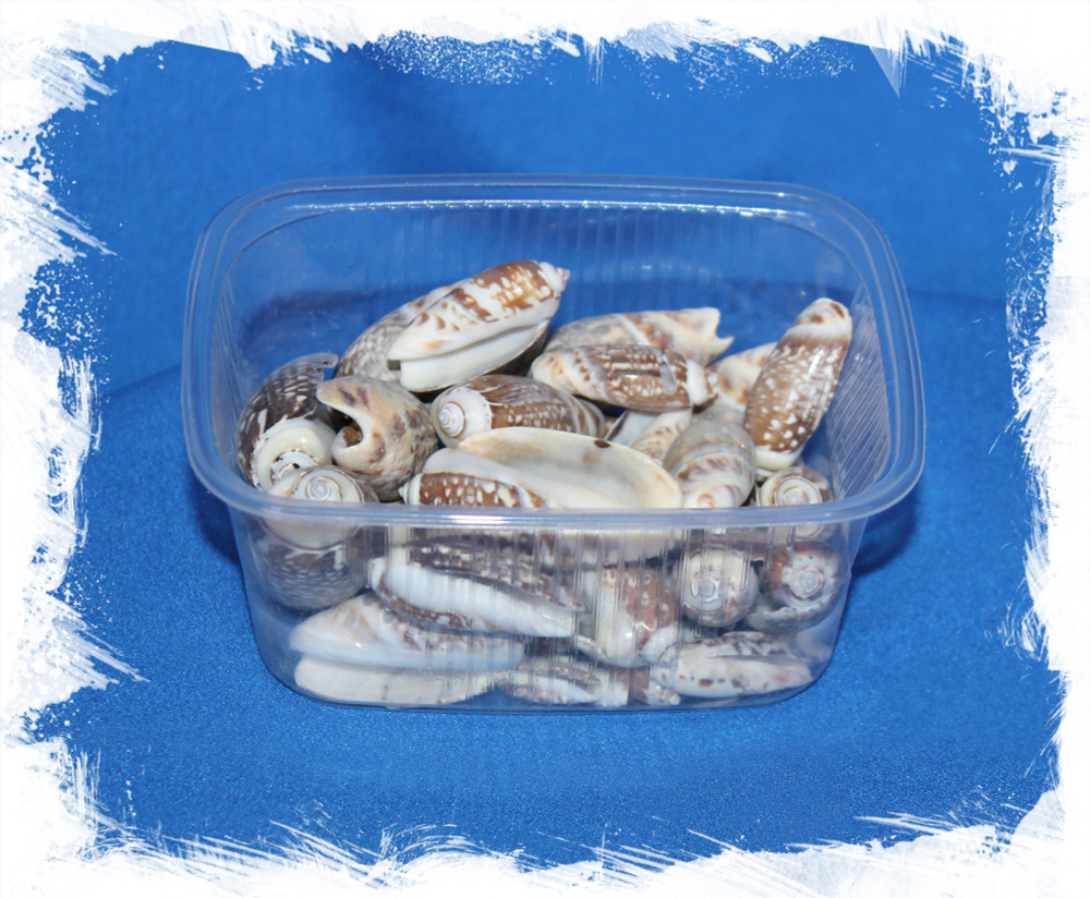 Олива Текстилина, 2-5см, 100гр, 12шт