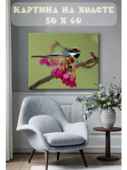 Картина на стену 40 X 50 Птица