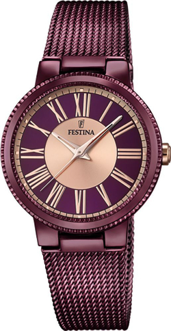 Часы Festina F16966/1