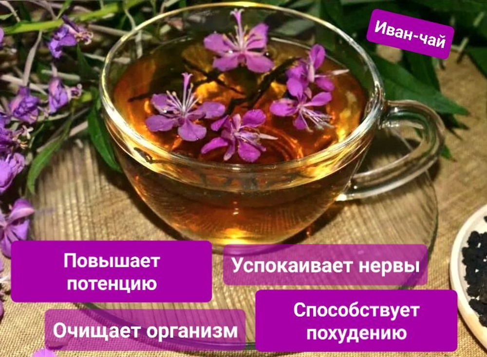 Иван-чай с можжевельником, 100 гр.