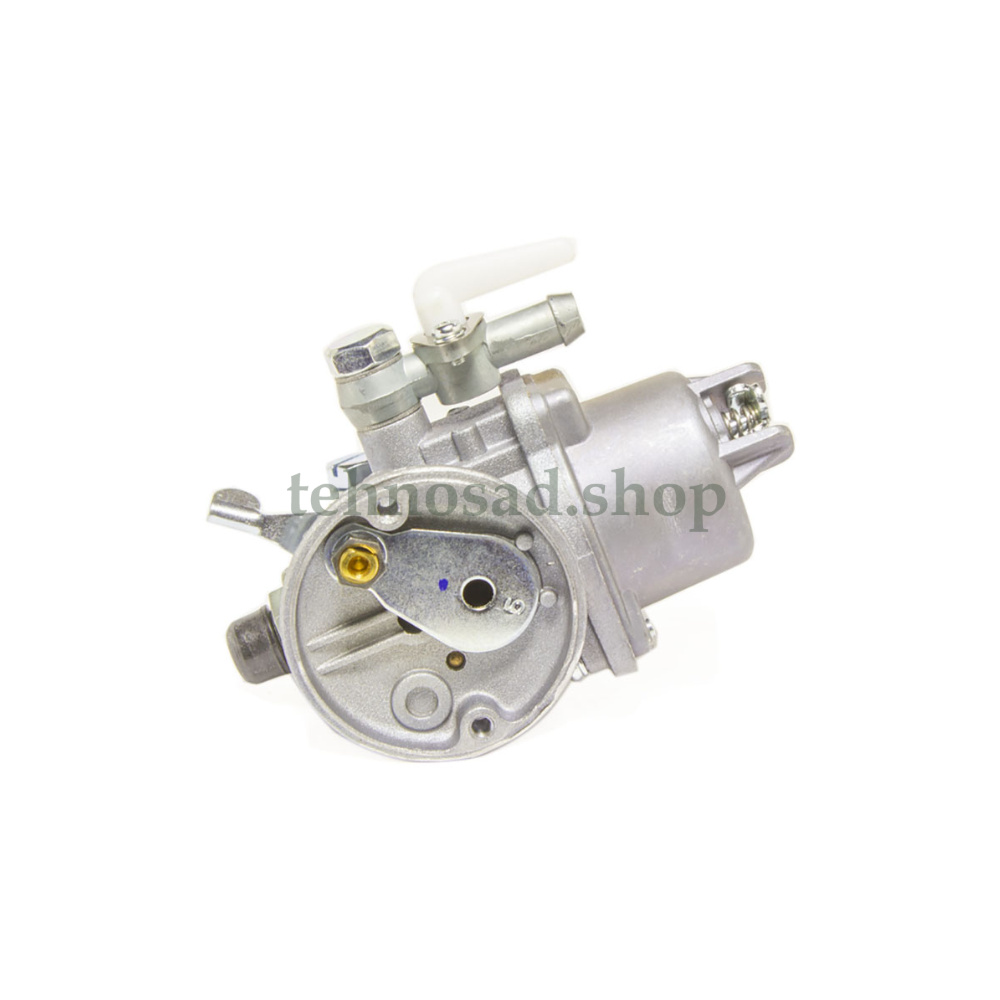 Карбюратор PZ