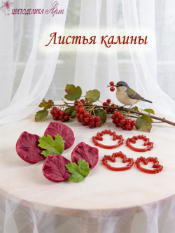 Листья калины
