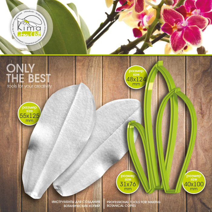 Фаленопсис лист средний