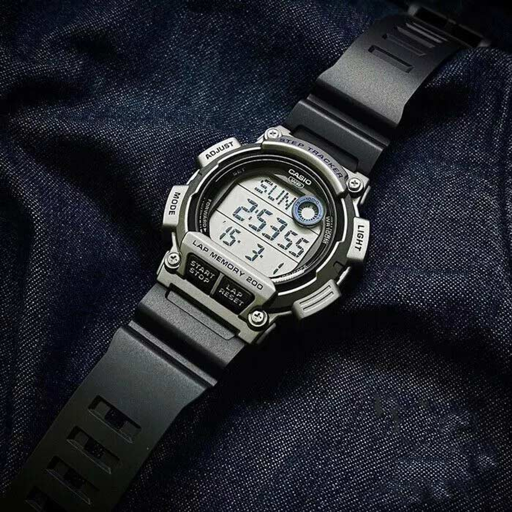 Часы Casio WS-2100H-1A2