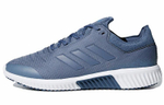 Кроссовки Adidas Climaheat All Terrain