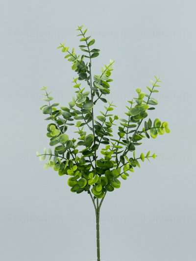 Ветка Эвкалипта Амалия