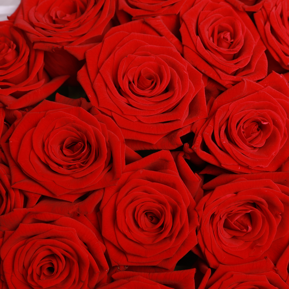 Букет из 19 красных роз. Букет 7115
