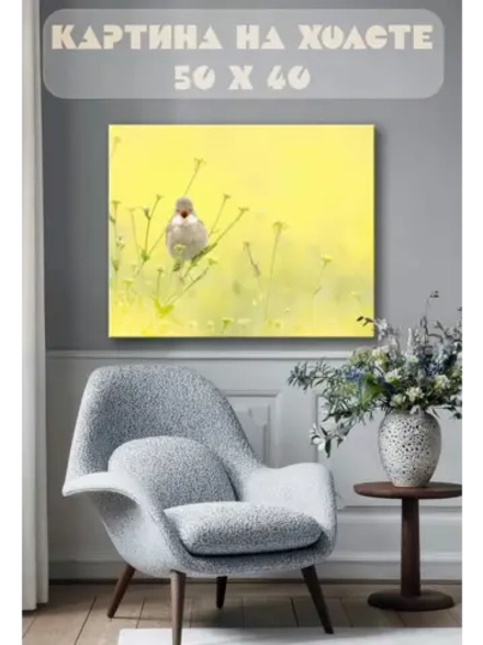 Картина на стену 40 X 50 Птица
