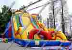 Коммерческий надувной батут "Змей Горыныч 2" 13*6*10