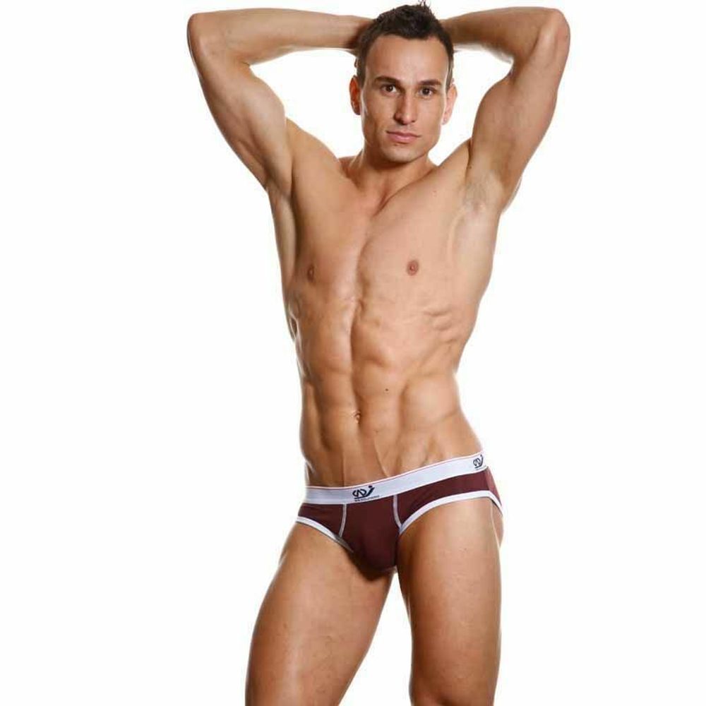 Мужские трусы брифы WangJiang коричневые WG00141