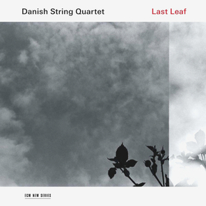 Danish String Quartet / Last Leaf (LP)