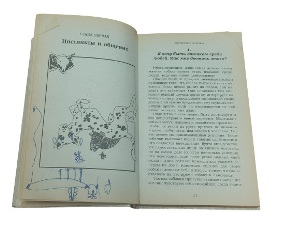 101 вопрос, который задала бы ваша собака своему ветеринару если бы умела говорить