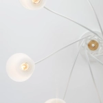 Потолочная люстра Eurosvet BETTY 70062/8 4690389113291