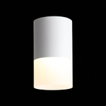 ST100.502.10 Светильник потолочный Белый LED 1*10W 3000K 780Lm Ra&gt;80 120° D78xH135 170-240V Накладные светильники