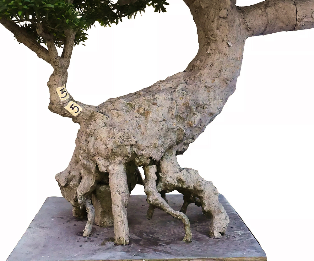 Бонсай 190 см - Зеленый