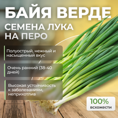 БАЙЯ ВЕРДЕ семена лука на перо (Seminis | Alexagro)