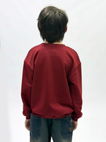 Свитшот трикотажный для мальчика 9-18 лет Fleur de Vie