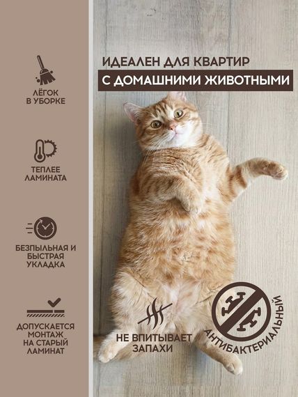 SPC ламинат I-Floors Chamfer 4v - Дуб Кенозерский
