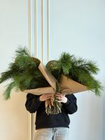 Хвоя - охапка кедр