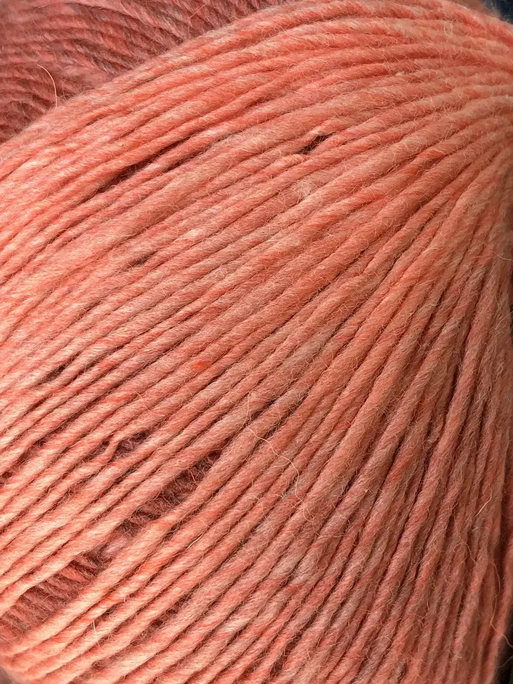 Пряжа Rowan Sock (005)