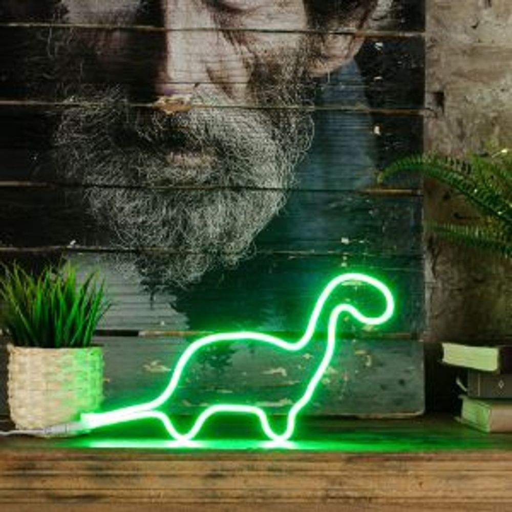 Набор для создания неоновых фигур NEON-NIGHT Креатив 120 LED, 1 м, зеленый