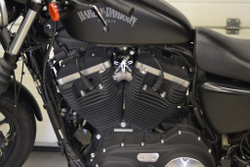 Harley-Davidson Sportster Iron 883™ (XL883N) 2014