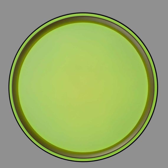 Потолочный светодиодный светильник Citilux Boss CL751251G