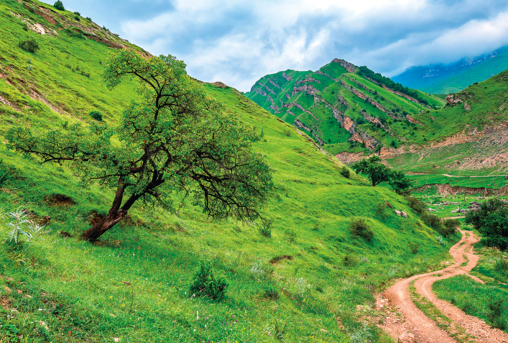 Коллекция Горы