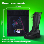 Мешок для обуви BRAUBERG с петлёй карман на молнии 47х37 см "Movie time" (3 штуки в упаковке)