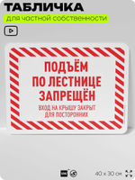 Табличка для частной территории "Подъем по лестнице запрещен", на дом, для участка, организаций и частных территорий, предупреждающая, 40х30 см, Silver Plane x Айдентика Технолоджи