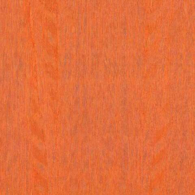 Arte Amazone 2 Fierce – 23507