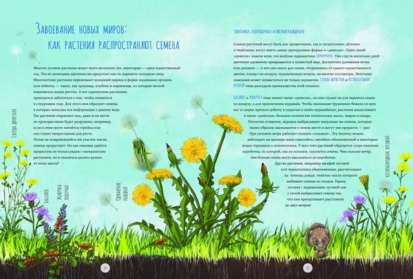 Дикий луг. Открываем многообразие мира, скрытого от нашего взора