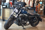 Harley-Davidson Sportster Forty-Eight 115 Anniversary (XL1200XANX)