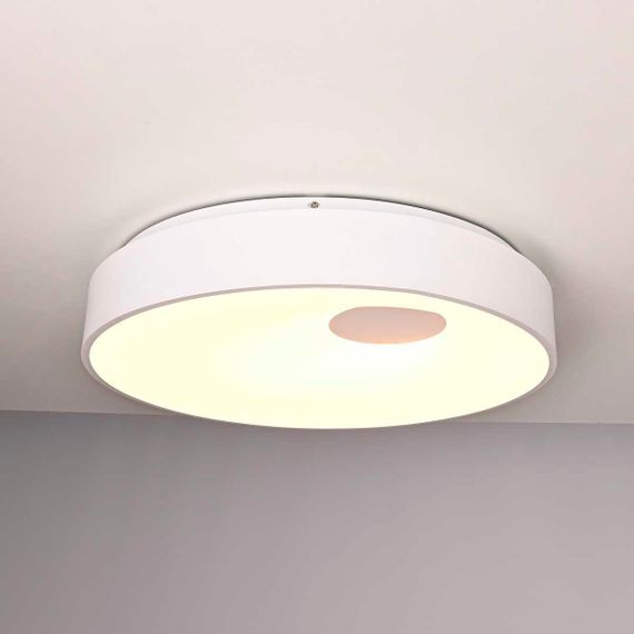 Потолочный светодиодный светильник Imperium Loft Ecla 101547-26