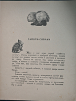 Кот и собака