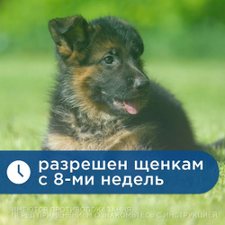 Капли на холку от клещей, блох, вшей и власоедов для собак от 20-40 кг Фиприст Спот Он (KRKA), 3 пипетки Фипронил