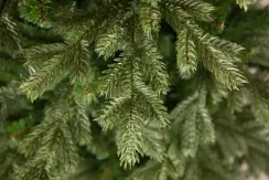 Елка Шервуд Премиум 215 см., литая хвоя+пвх, Triumph Tree (73371)