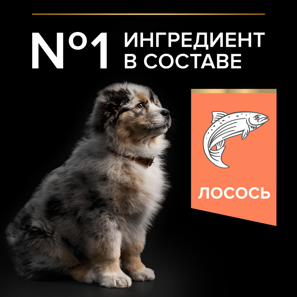 Сухой корм PRO PLAN SENSITIVE SKIN для щенков средних пород с чувствительной кожей лосось 12 кг
