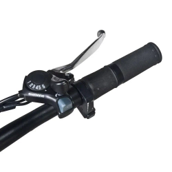 Электровелосипед Jetson F20-M BIZON (48V12Ah)