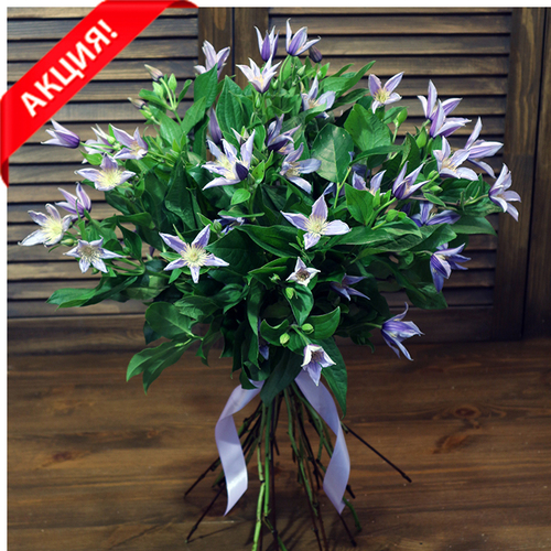 Купить Букет из клематисов «Навстречу весне»